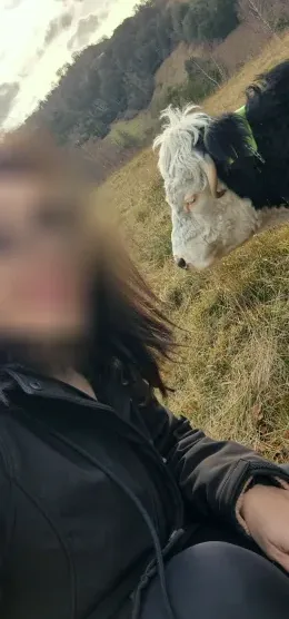 Tilde, 38